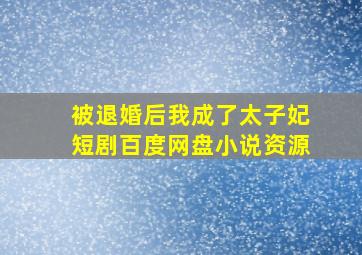 被退婚后我成了太子妃短剧百度网盘小说资源