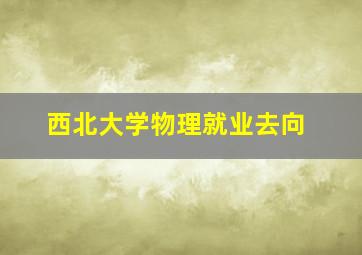 西北大学物理就业去向