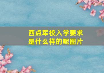 西点军校入学要求是什么样的呢图片