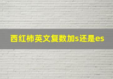 西红柿英文复数加s还是es