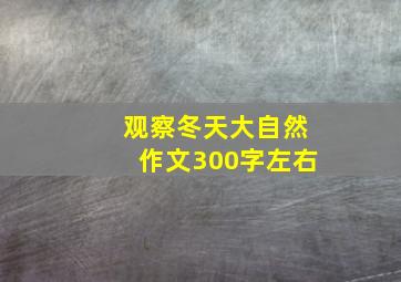 观察冬天大自然作文300字左右