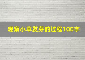 观察小草发芽的过程100字