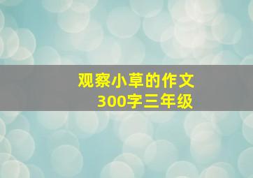 观察小草的作文300字三年级