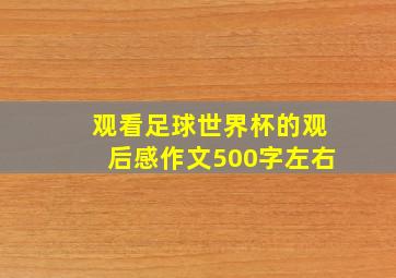 观看足球世界杯的观后感作文500字左右