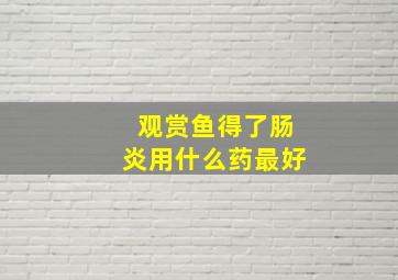 观赏鱼得了肠炎用什么药最好