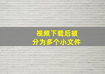 视频下载后被分为多个小文件