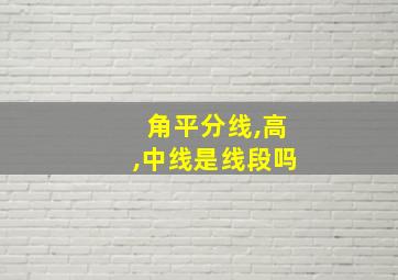 角平分线,高,中线是线段吗