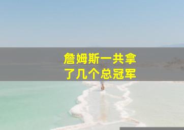 詹姆斯一共拿了几个总冠军