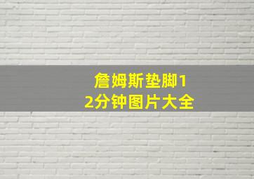 詹姆斯垫脚12分钟图片大全