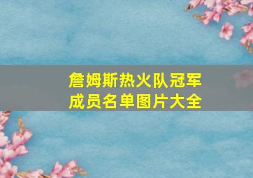 詹姆斯热火队冠军成员名单图片大全