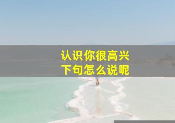 认识你很高兴下句怎么说呢