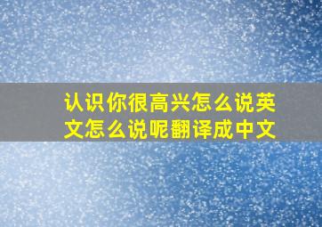 认识你很高兴怎么说英文怎么说呢翻译成中文