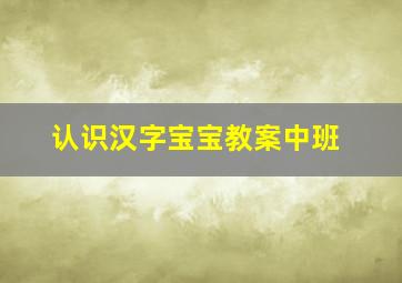 认识汉字宝宝教案中班