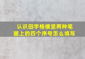 认识田字格横竖两种笔画上的四个序号怎么填写