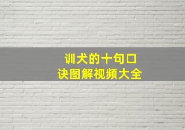 训犬的十句口诀图解视频大全