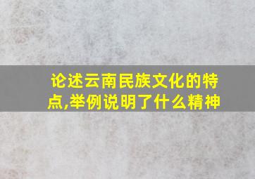 论述云南民族文化的特点,举例说明了什么精神