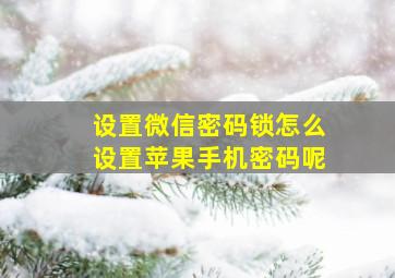 设置微信密码锁怎么设置苹果手机密码呢