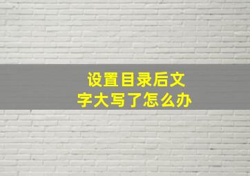 设置目录后文字大写了怎么办