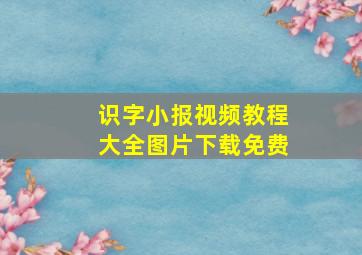 识字小报视频教程大全图片下载免费