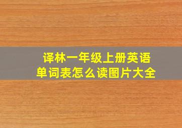 译林一年级上册英语单词表怎么读图片大全