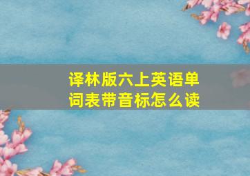 译林版六上英语单词表带音标怎么读