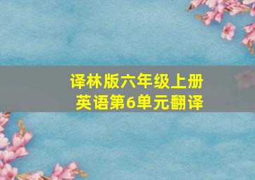 译林版六年级上册英语第6单元翻译