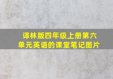 译林版四年级上册第六单元英语的课堂笔记图片