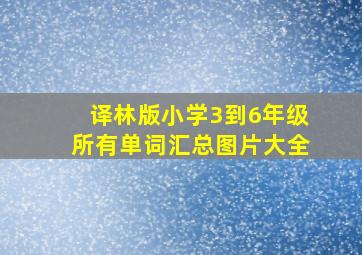 译林版小学3到6年级所有单词汇总图片大全