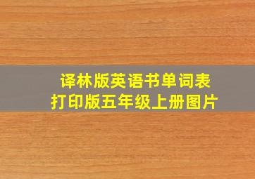 译林版英语书单词表打印版五年级上册图片