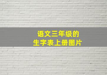 语文三年级的生字表上册图片