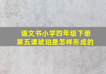 语文书小学四年级下册第五课琥珀是怎样形成的