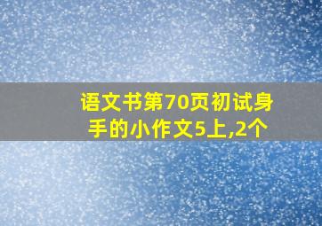 语文书第70页初试身手的小作文5上,2个