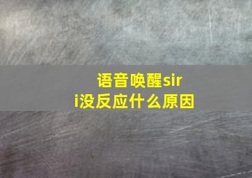 语音唤醒siri没反应什么原因