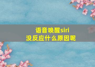 语音唤醒siri没反应什么原因呢