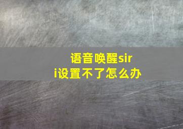 语音唤醒siri设置不了怎么办