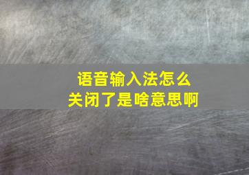 语音输入法怎么关闭了是啥意思啊