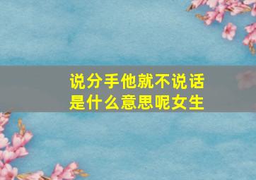 说分手他就不说话是什么意思呢女生