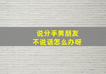 说分手男朋友不说话怎么办呀