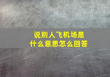 说别人飞机场是什么意思怎么回答