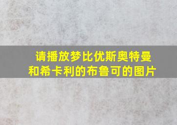 请播放梦比优斯奥特曼和希卡利的布鲁可的图片