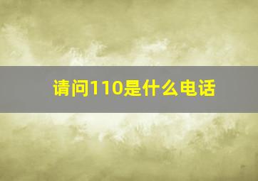 请问110是什么电话