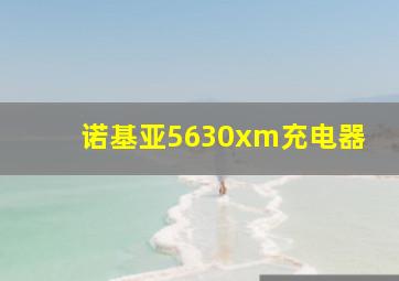 诺基亚5630xm充电器