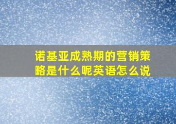 诺基亚成熟期的营销策略是什么呢英语怎么说