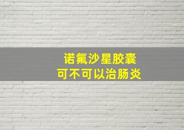 诺氟沙星胶囊可不可以治肠炎