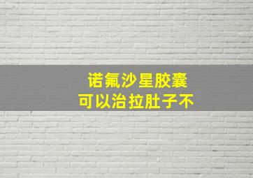 诺氟沙星胶囊可以治拉肚子不