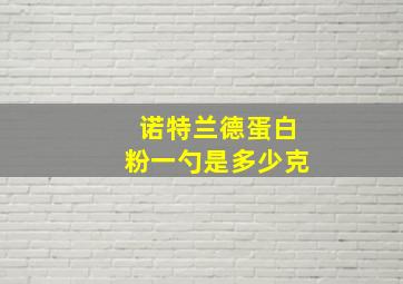 诺特兰德蛋白粉一勺是多少克