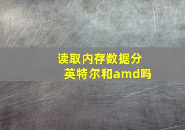 读取内存数据分英特尔和amd吗