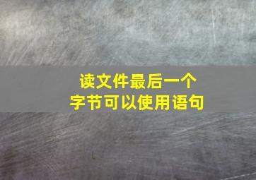 读文件最后一个字节可以使用语句