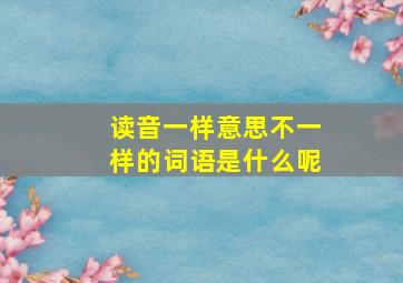 读音一样意思不一样的词语是什么呢