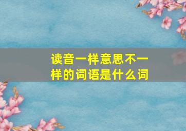 读音一样意思不一样的词语是什么词